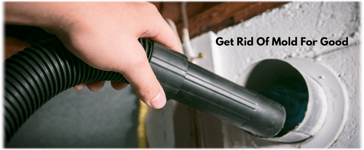 Air Duct Mold Removal in Baltimore